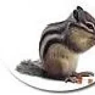 chipy