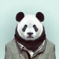 bruno00123456