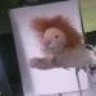 jorgedip1