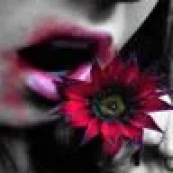 ______Camila______
