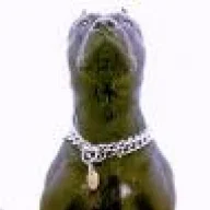 bullguard