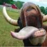 bobinomorboso