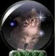 miau miau