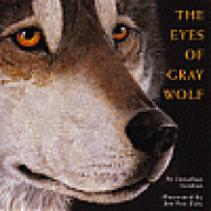 greywolfy