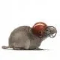 Edu@rdo