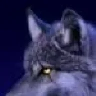 alocerwolf26