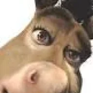 diegoquin