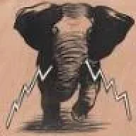 CaVeZa De EleFantE