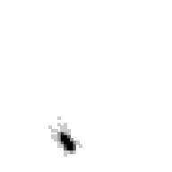 midi14