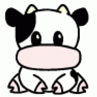 bishipkbb