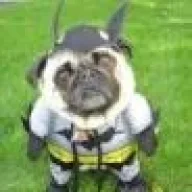 Bat-dog