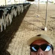 Cowbron