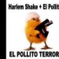 moshomexicano