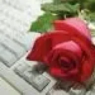 majid16367