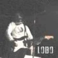 lobostik