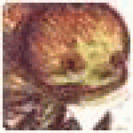 Fedavildeda