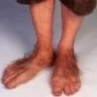 hobbitses