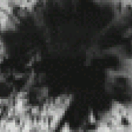 shadowjorge