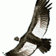 pililo