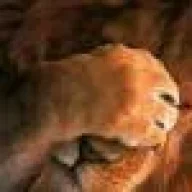 jafloreshdez
