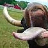 grobertomp3
