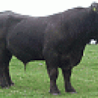 odinsick