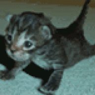 sweetcat