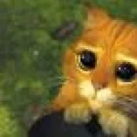 Omeyocat