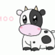 kichpiliyo