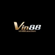 vin88auction