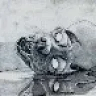 leviatan_27