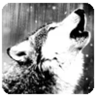 roar109