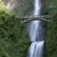 JAMACHARU