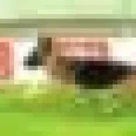 cruzmm
