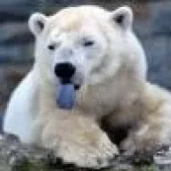 marioruben