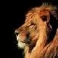 wuicho leon