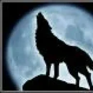 coyotemx