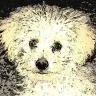 MiCkE BIOS
