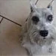 alejandroopy