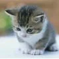 Plok