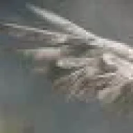 bbikarus