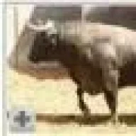 toribio-mooo