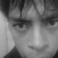 silvestre853