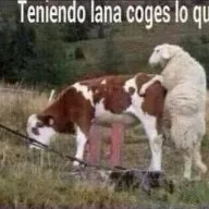 ernesto91