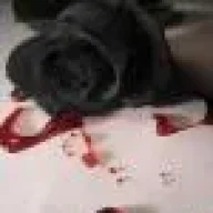 Bloody Rose_9