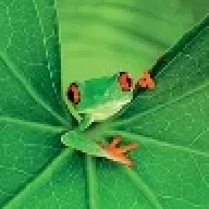 EdGaRpC1