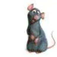 cachorro_psico