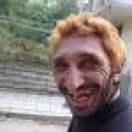 anteatereatingant