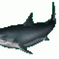 TiburonD