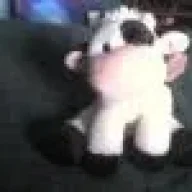 feliangel0826